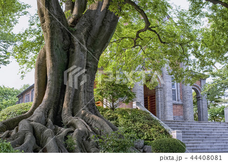 ゴンセリ大聖堂 牙山市 忠南 44408081