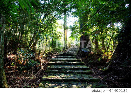 熊野古道　大門坂　那智山　石段 ／ 大門跡 付近 （ 和歌山県 東牟婁郡 那智勝浦町 ） 44409182