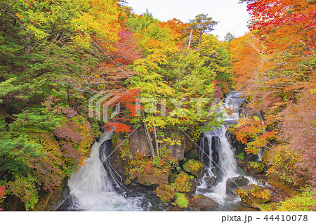 竜頭の滝 龍頭の滝 紅葉 秋 竜頭の滝 龍頭の滝 紅葉 秋 44410078