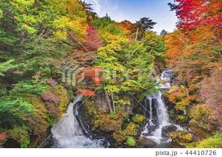 竜頭の滝 龍頭の滝 紅葉 秋 竜頭の滝 龍頭の滝 紅葉 秋 44410726