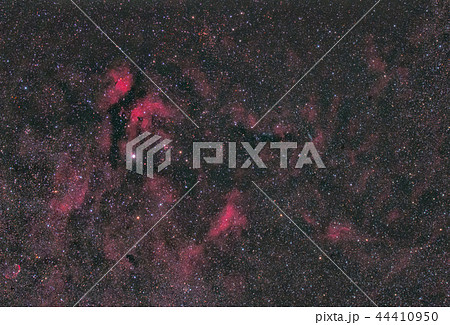 はくちょう座 サドル付近の星雲 44410950