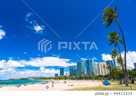 《ハワイ》アラモアナビーチパーク・ホノルル 《ハワイ》アラモアナビーチパーク・ホノルル 44411315