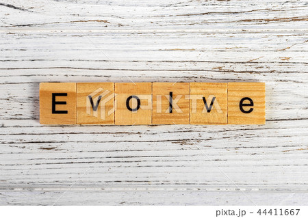 EVOLVE word made with wooden blocks concept 44411667