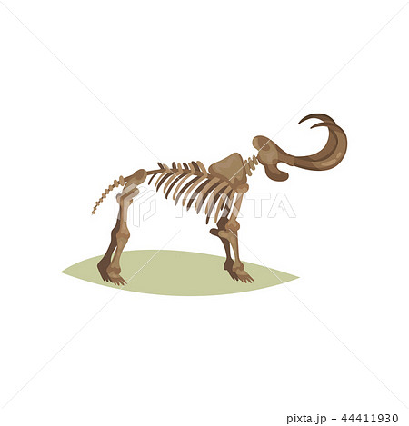 Flat Vector Icon Of Mammoth Skeleton Bones Of のイラスト素材