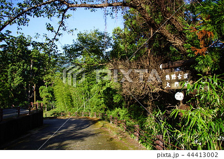 熊野古道　大門坂　那智山　大門跡 付近 （ 和歌山県 東牟婁郡 那智勝浦町 ） 44413002