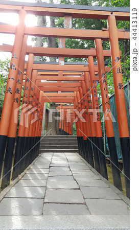 花園稲荷神社(上野公園) 花園稲荷神社(上野公園) 44413119