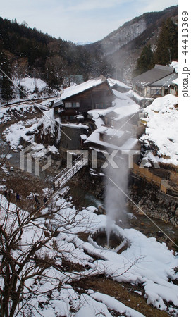 地獄谷野猿公苑 渋の地獄谷噴泉 地獄谷野猿公苑 渋の地獄谷噴泉 44413369