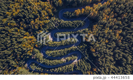 Curved road trough the forest 44413658