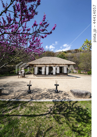 丸屋 梅 民俗村 44414057