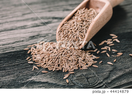 dry spices cumin dry spices cumin 44414879
