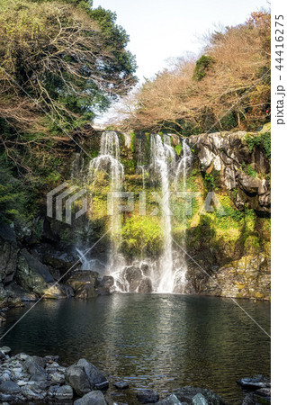 Cheonjeyeon Waterfalls in jeju island 44416275