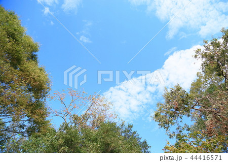 秋の空 秋の空 44416571