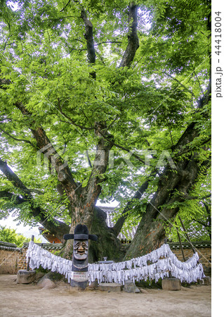 慶北 韓国 屋外 44418004