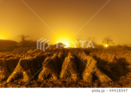 慶北 韓国 屋外 44418347