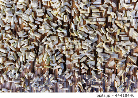 慶北 韓国 屋外 44418446