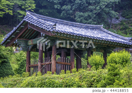 慶北 韓国 屋外 44418855