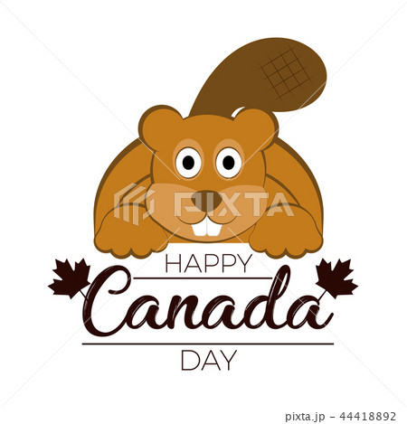 Isolated beaver. Canada day 44418892