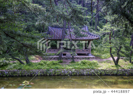 慶北 韓国 屋外 44418897