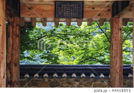 慶北 韓国 屋外 44418953
