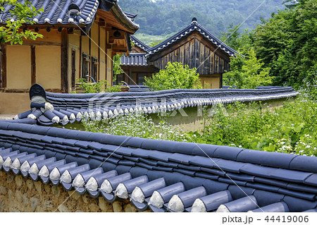 慶北 韓国 屋外 44419006
