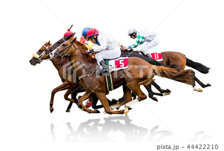 Race horses with jockeys on the home straight 44422210