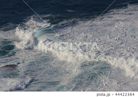 冬の爆弾低気圧で時化た海　小笠原 44422364