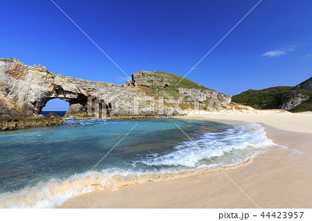 小笠原 南島扇池 小笠原 南島扇池 44423957