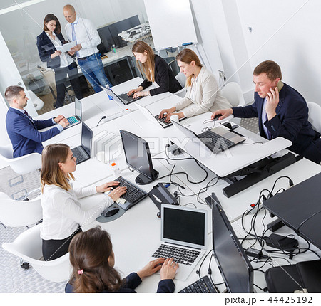 High-angle view of business people working and communicating together High-angle view of business people working and communicating together 44425192