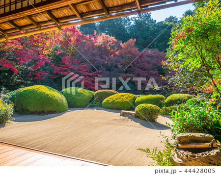 詩仙堂の紅葉 詩仙堂の紅葉 44428005