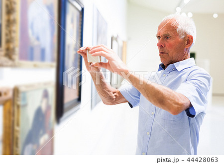 Man photographing painting in museum Man photographing painting in museum 44428063