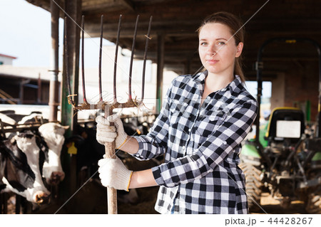 Female farmer on dairy farm Female farmer on dairy farm 44428267