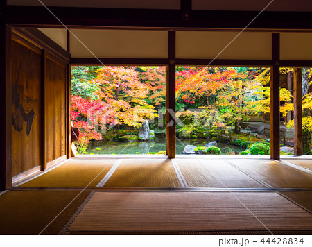 洛北蓮華寺の紅葉の写真素材