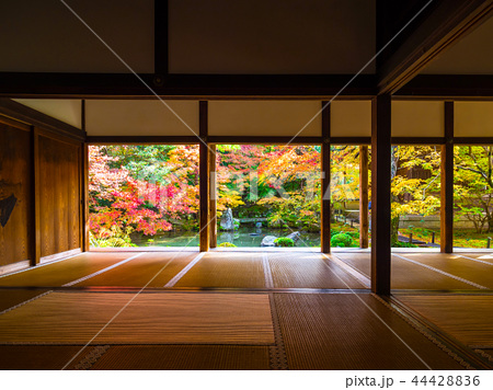 洛北蓮華寺の紅葉の写真素材