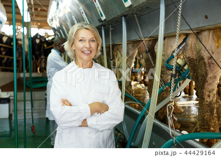 Woman working at milking line 44429164