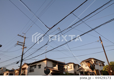 電線のある風景 電線のある風景 44429173
