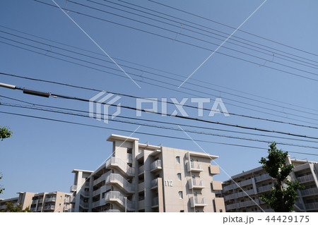 電線のある風景 電線のある風景 44429175