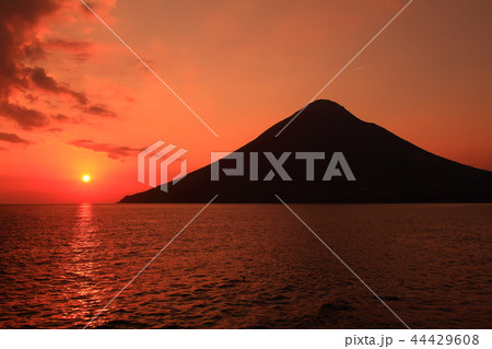 薩摩富士 薩摩富士 44429608