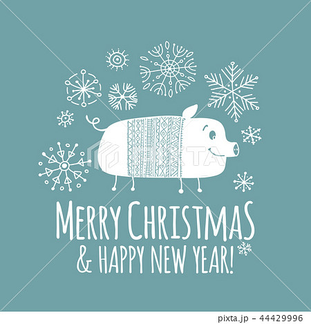 Christmas card with funny pig, symbol of 2019 year for your design 44429996