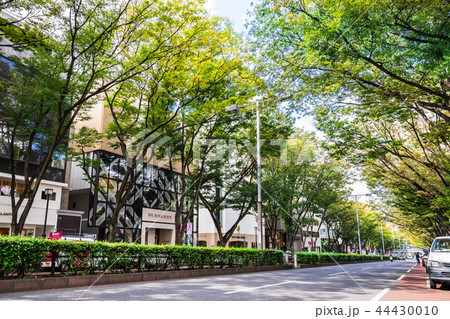 東京　表参道 44430010