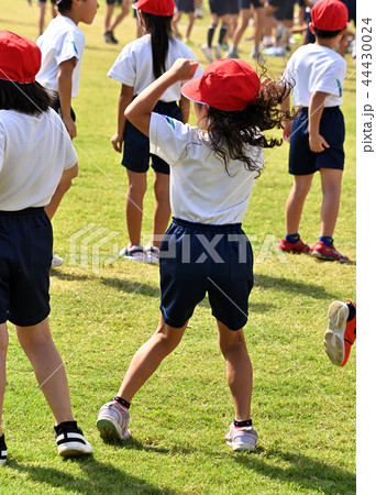 小学校運動会 44430024