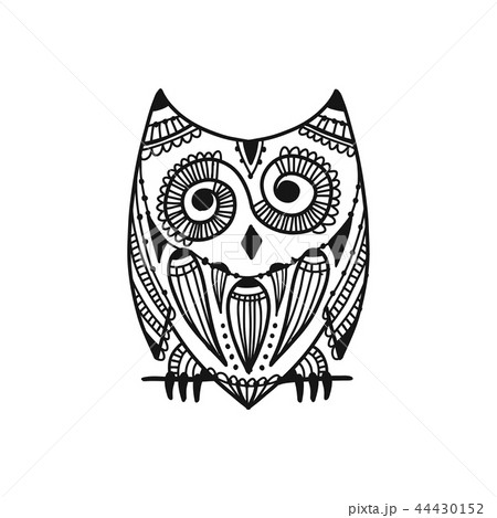 Ornate owl, zenart for your design Ornate owl, zenart for your design 44430152