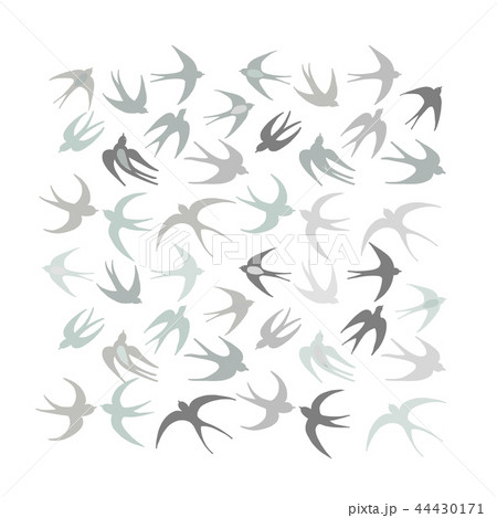 Swallows, background for your design 44430171