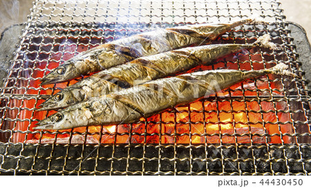 秋刀魚 44430450