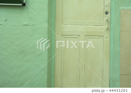 Background is an old white door and a green Background is an old white door and a green 44431201