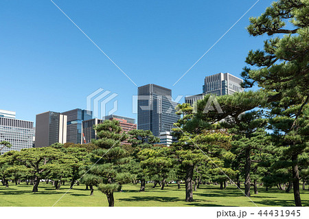 (東京都-都市風景)内堀通り側から望む丸の内オフィスビル12 (東京都-都市風景)内堀通り側から望む丸の内オフィスビル12 44431945