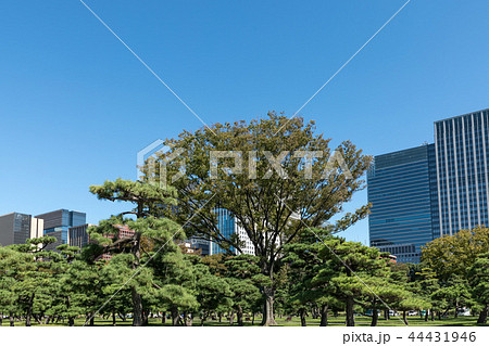 (東京都-都市風景)内堀通り側から望む丸の内オフィスビル11 (東京都-都市風景)内堀通り側から望む丸の内オフィスビル11 44431946