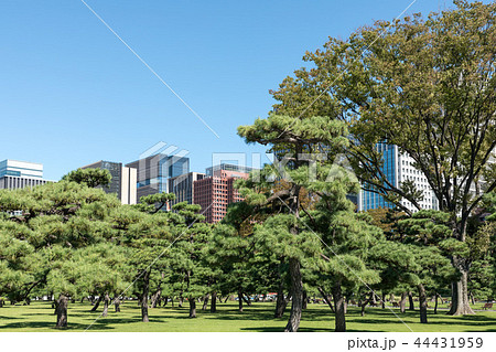 (東京都-都市風景)内堀通り側から望む丸の内オフィスビル9 (東京都-都市風景)内堀通り側から望む丸の内オフィスビル9 44431959
