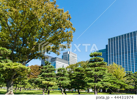 (東京都-都市風景)内堀通り側から望む丸の内オフィスビル2 (東京都-都市風景)内堀通り側から望む丸の内オフィスビル2 44431974