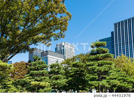(東京都-都市風景)内堀通り側から望む丸の内オフィスビル1 (東京都-都市風景)内堀通り側から望む丸の内オフィスビル1 44431976