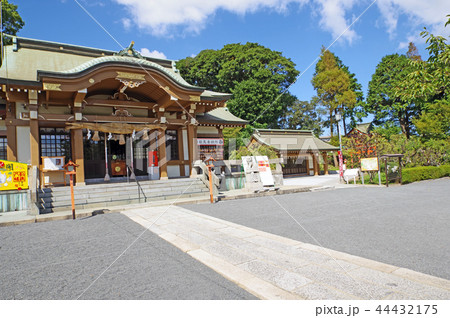 到津八幡神社 44432175